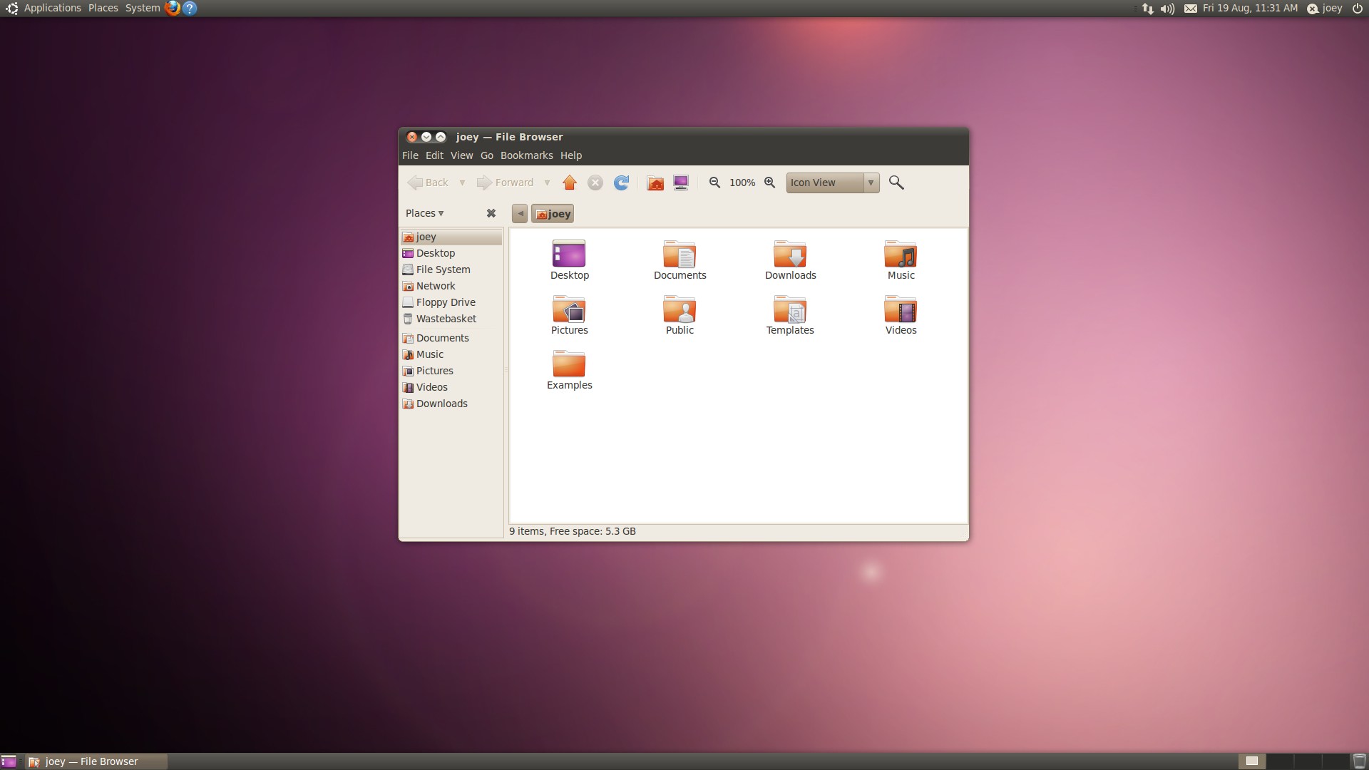  Ubuntu 10.04.4